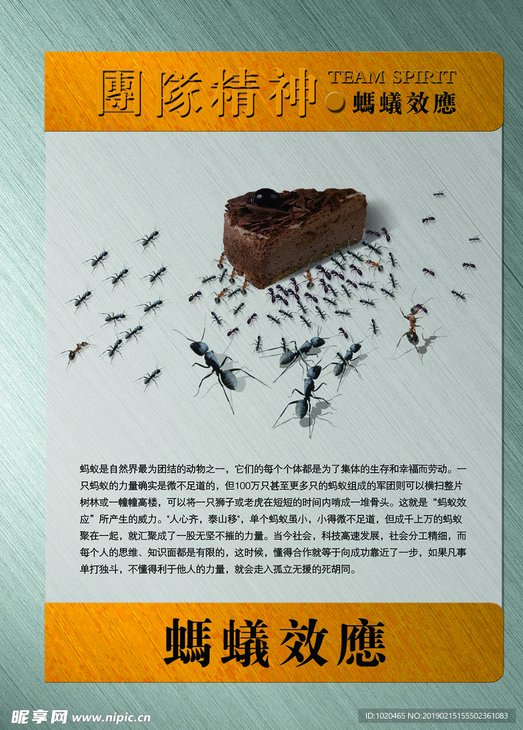 蚂蚁效应