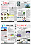 报纸  报刊