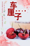 车厘子海报