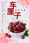 车厘子海报