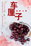 车厘子海报