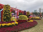 2019年中山花灯