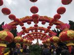 2019年中山花灯