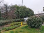 绿树公园