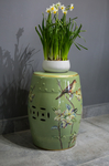水仙花