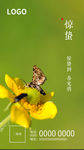 惊蛰微信图