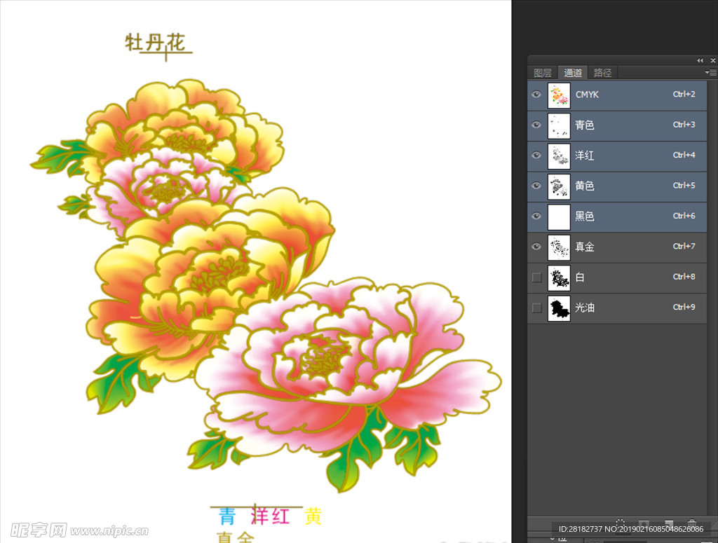 分色牡丹