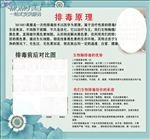 排毒美容