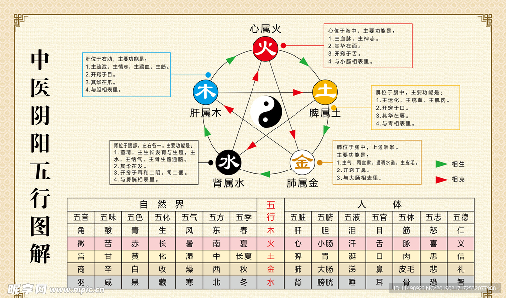 中医阴阳五行图解