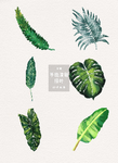 手绘绿叶