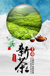 新茶上市