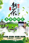 新茶上市
