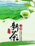 新茶上市