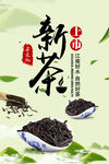 新茶上市
