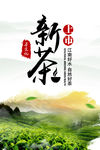新茶上市