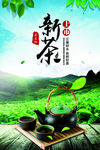 新茶上市