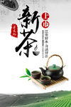 新茶上市