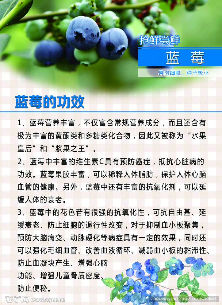 蓝莓功效海报