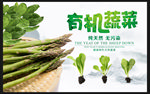 有机蔬菜海报