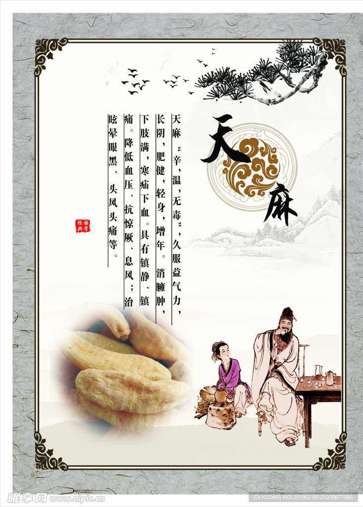 中医药挂图
