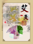 中医艾灸挂图