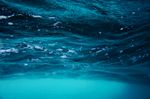 海洋海水