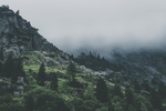 高山森林
