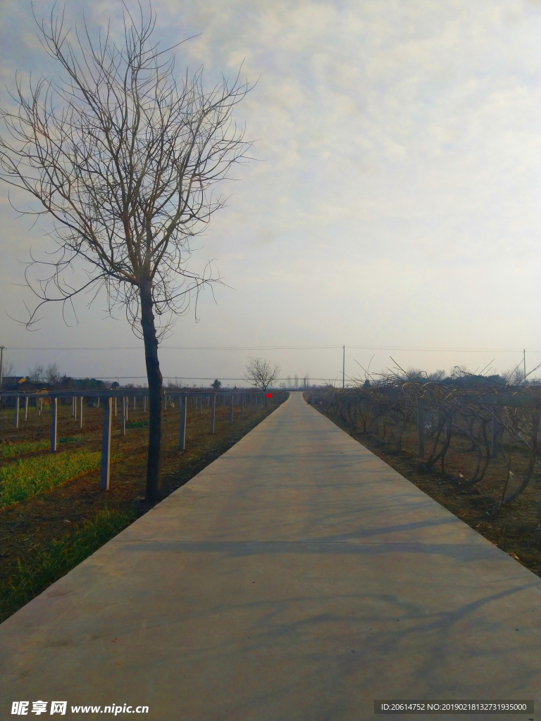 日暮下的乡村道路风景