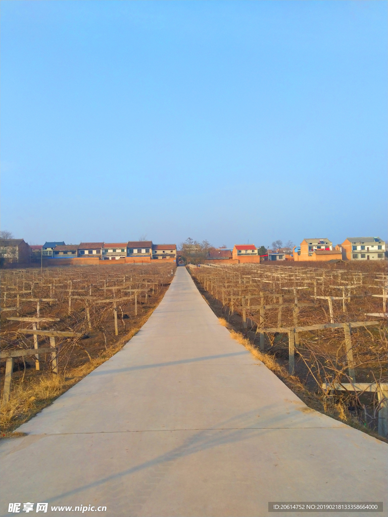 美丽的乡村道路风景