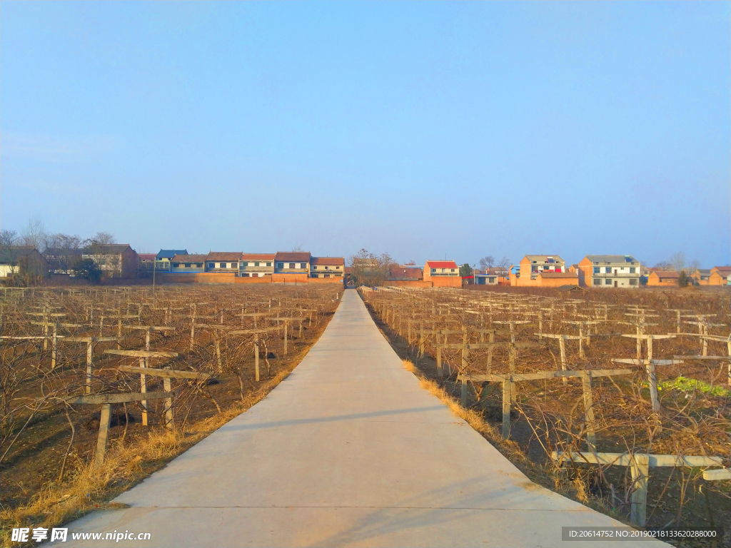 美丽的乡村道路风景