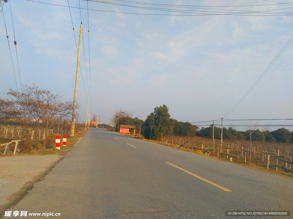 美丽的乡村道路风景