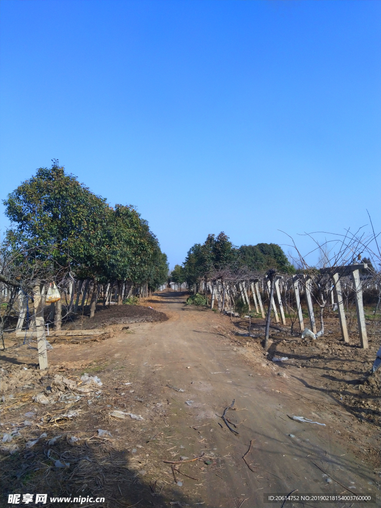 美丽的乡村风景