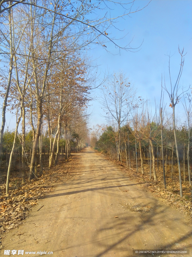 美丽的乡村道路风景