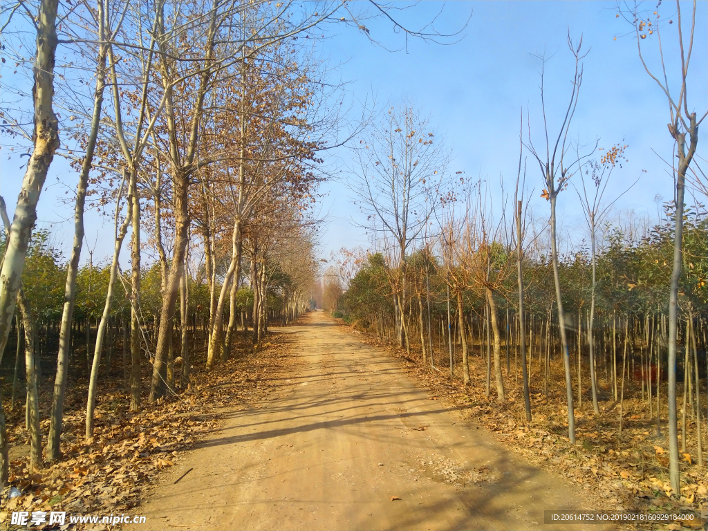 美丽的乡村风景