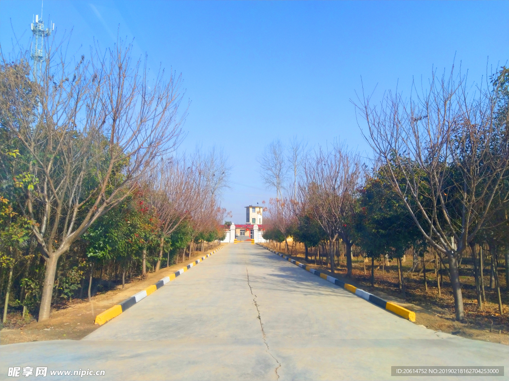 美丽的乡村道路风景