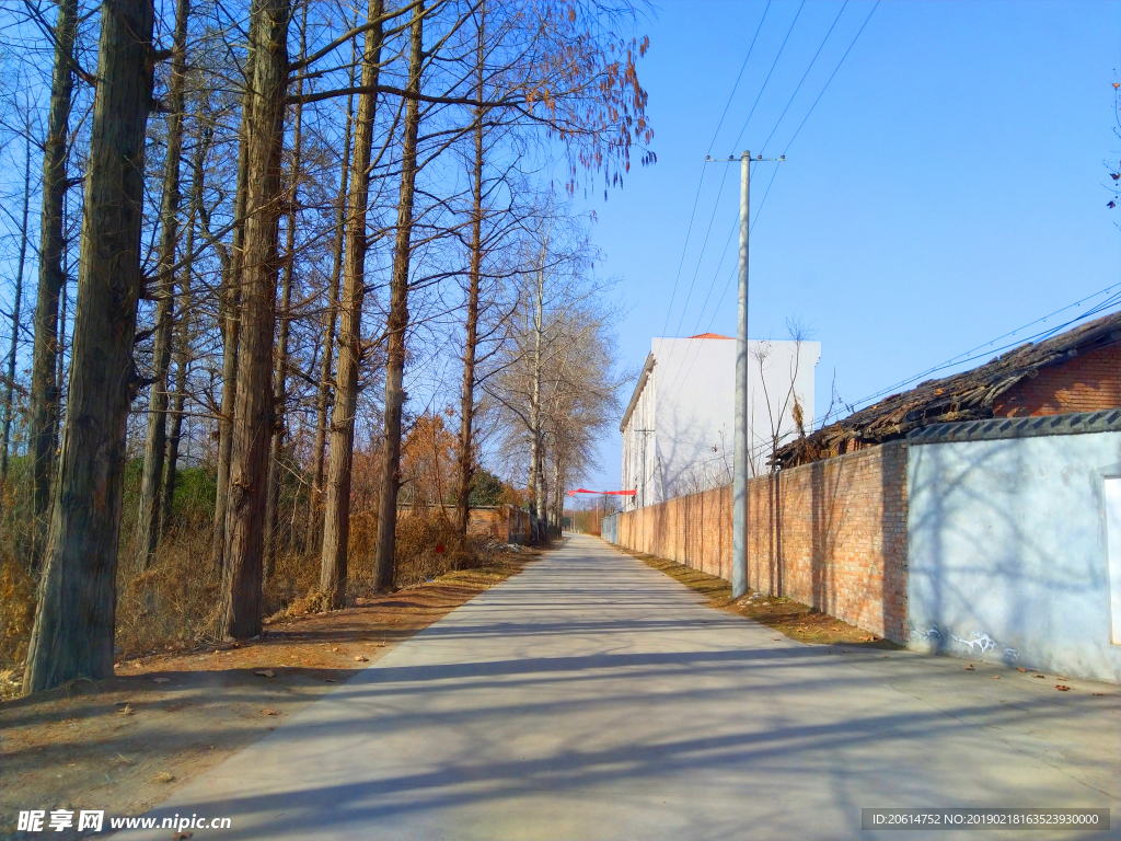 美丽的乡村道路风景