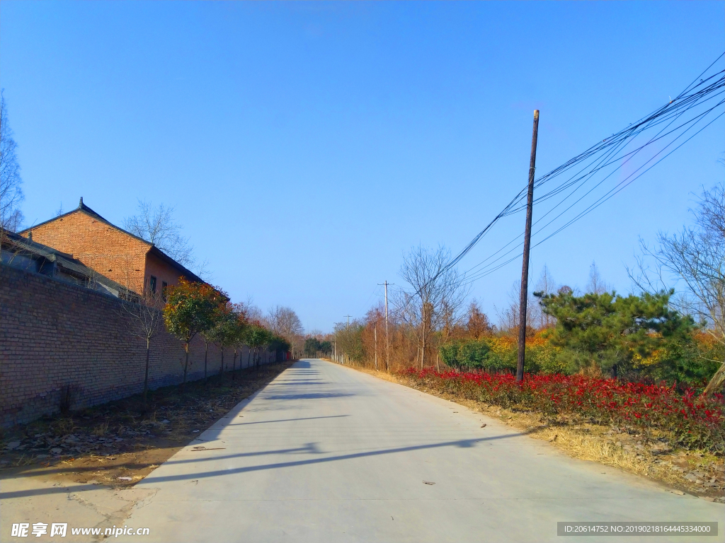 美丽的乡村道路风景