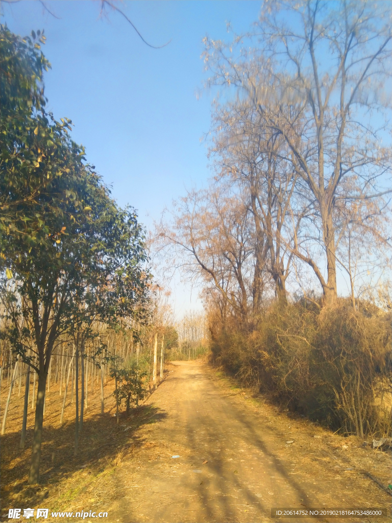 美丽的乡村风景