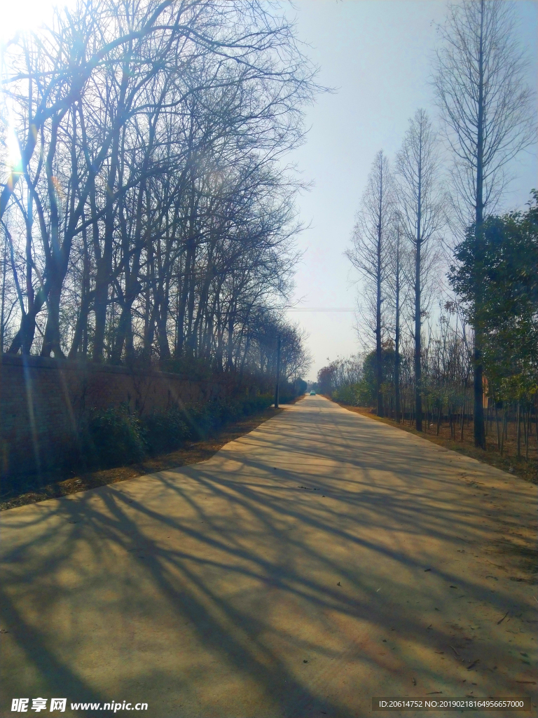 美丽的乡村风景