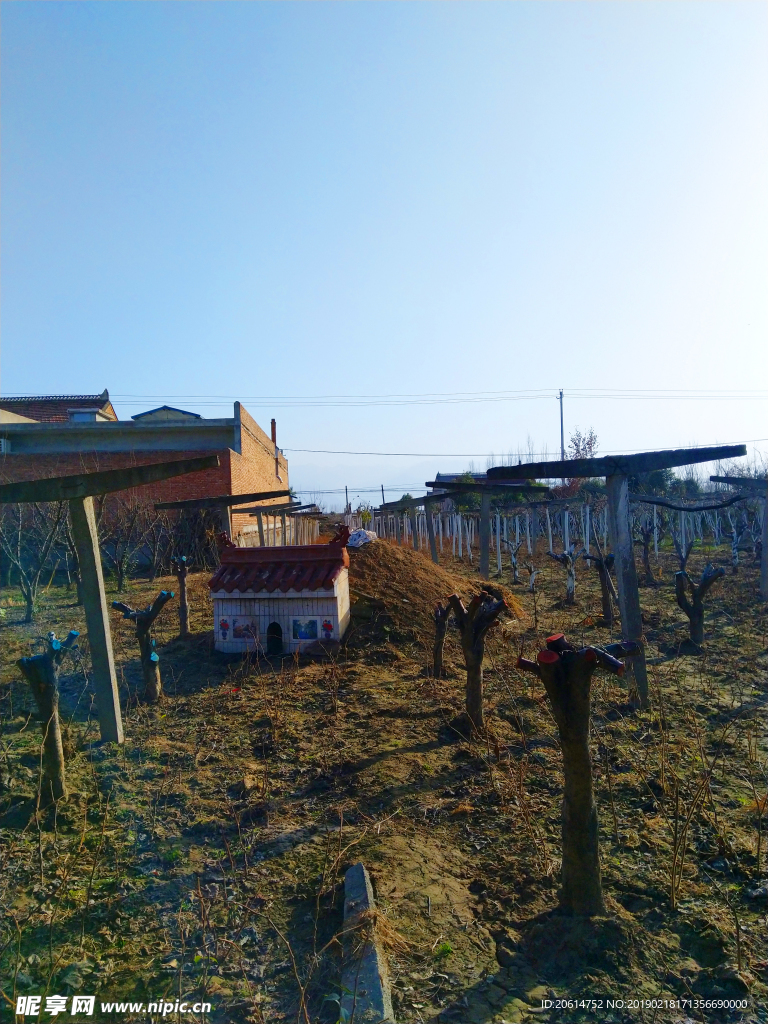 美丽的乡土风景