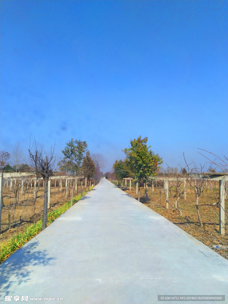 美丽的乡村风景