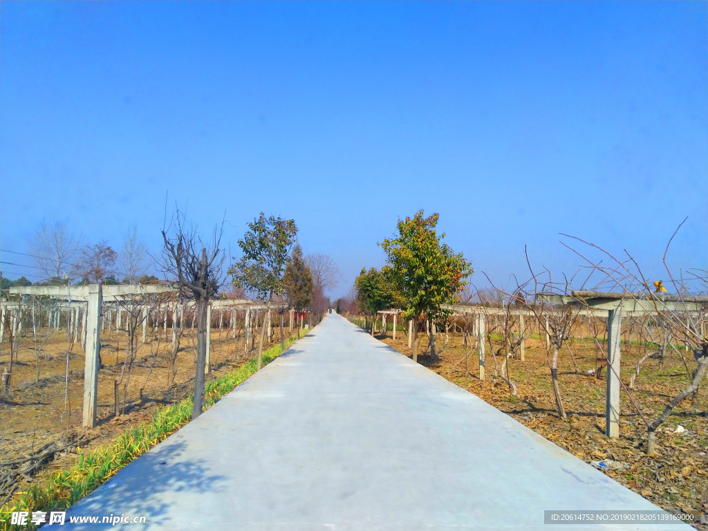 蓝天下的乡村风景