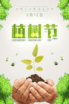 植树节