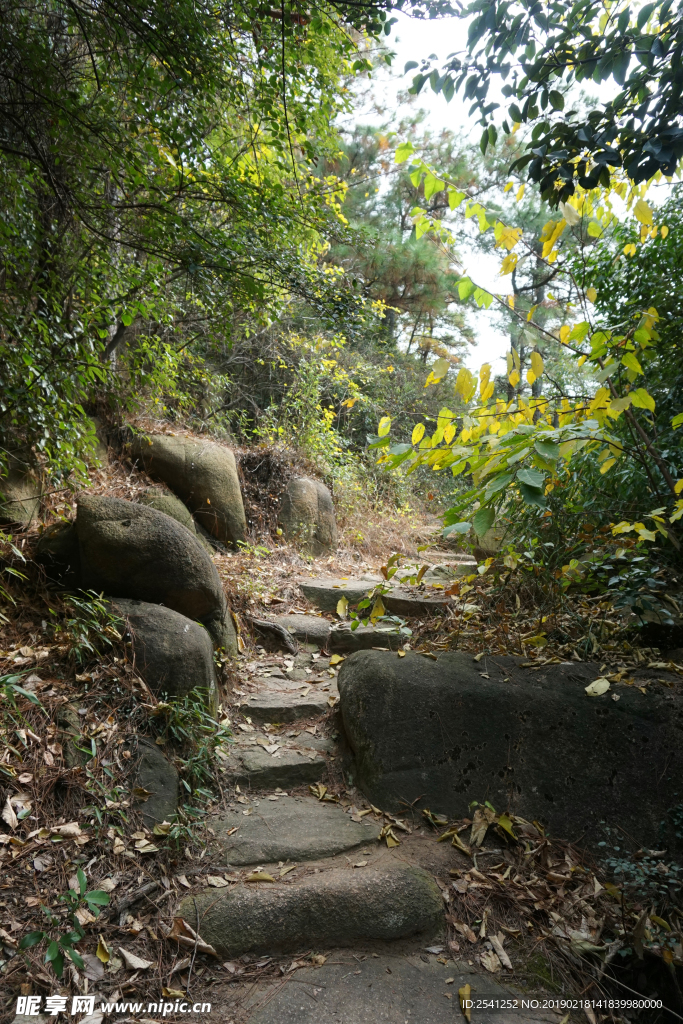 山路十八弯