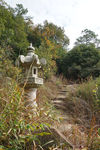 上山的路
