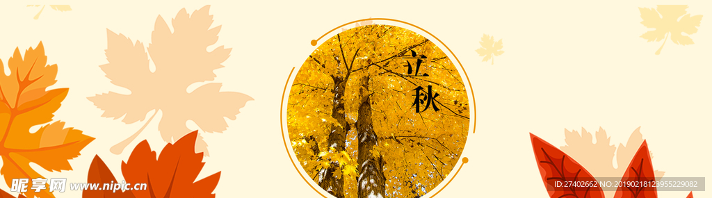 枫叶