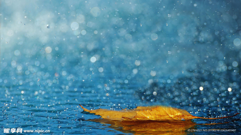 雨