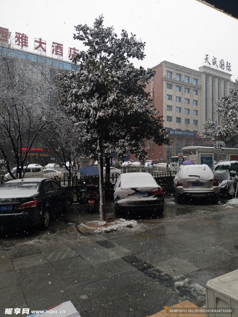 雪景