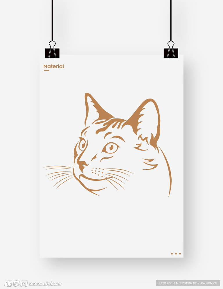 猫