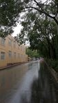 雨中的出小路